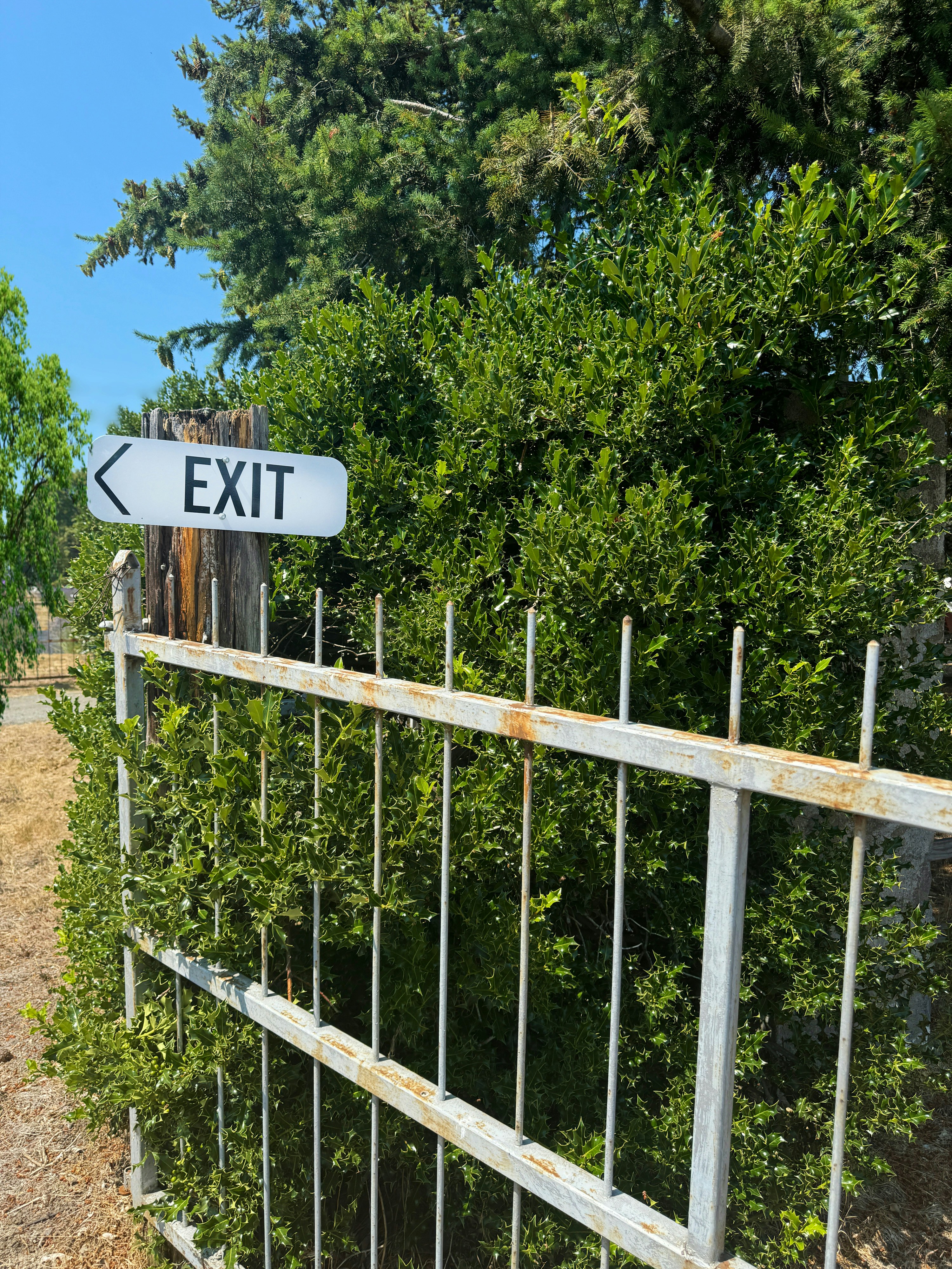 Estate Planning After Divorce in California