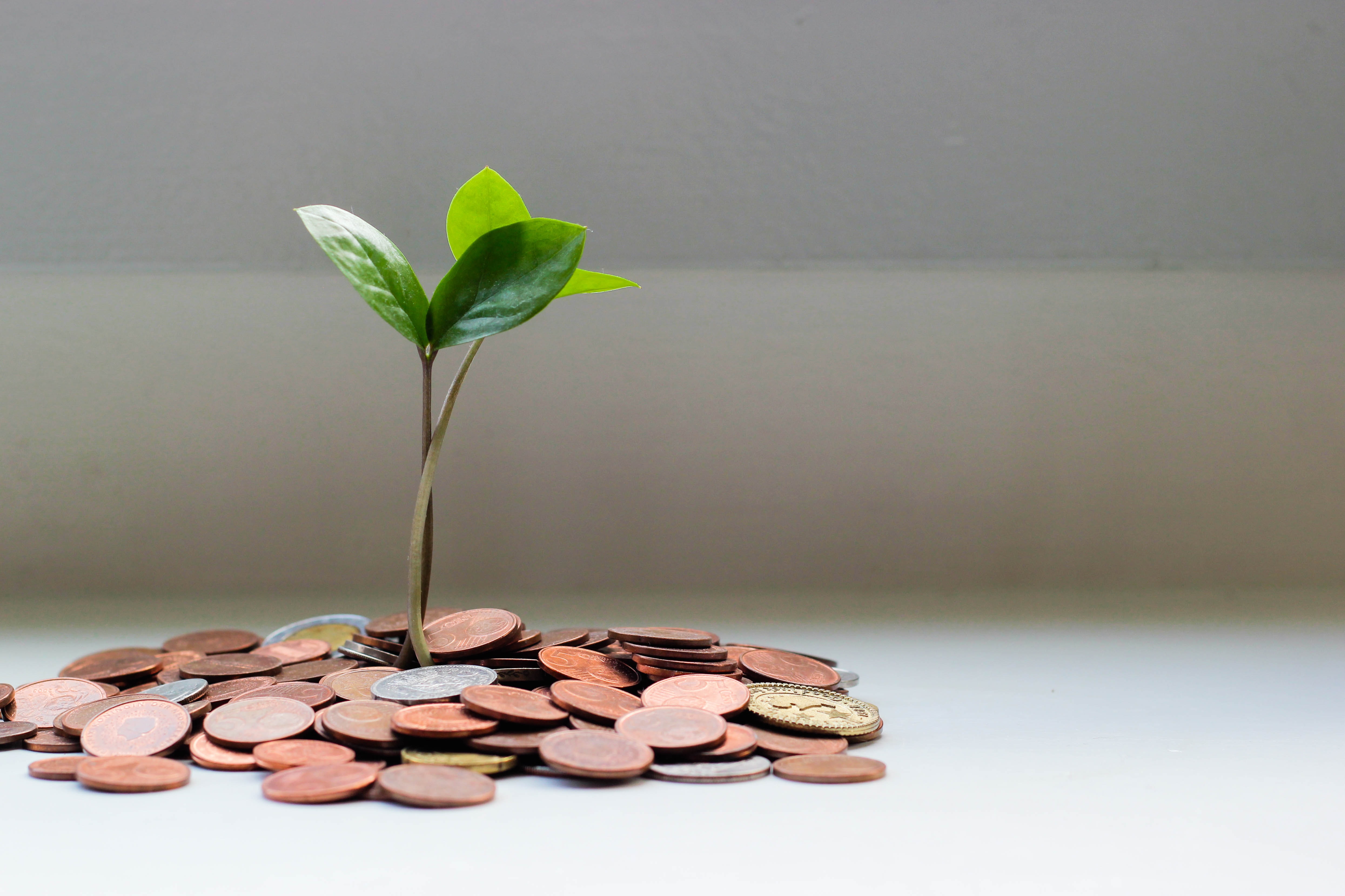 Portability - How to Eliminate Estate Tax